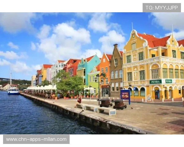 阿鲁巴自行车赛吸引众多骑行爱好者，阿鲁巴205